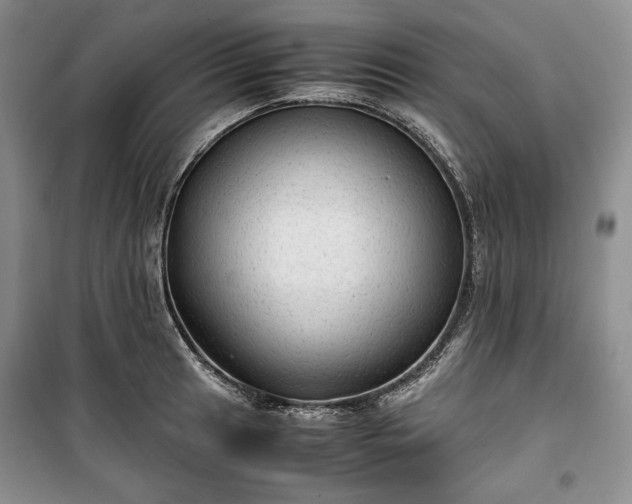 X0000100351041200806130947