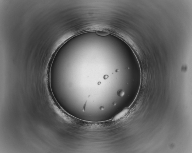 X0000100351042200806130947