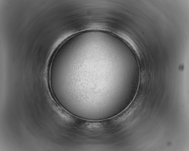 X0000100351043200806130947