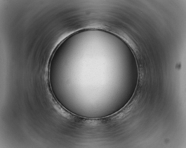 X0000100351044200806130947