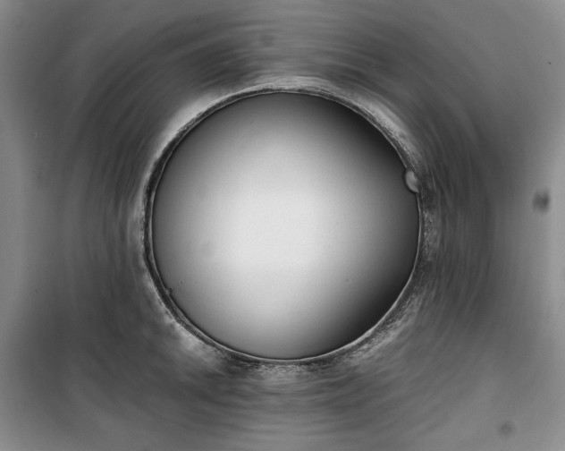 X0000100351046200806130947