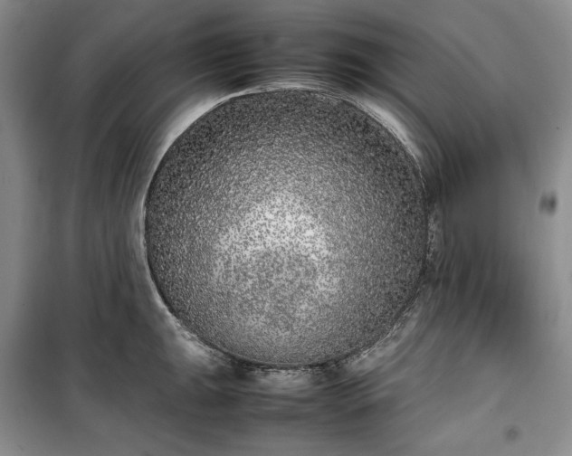 X0000100351047200806130947