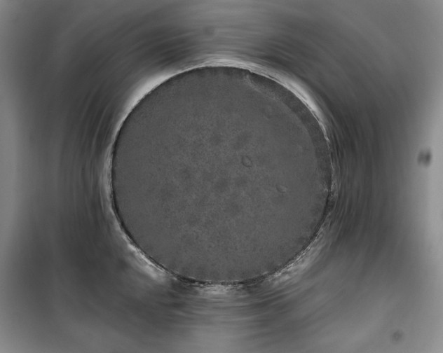 X0000100351048200806130947