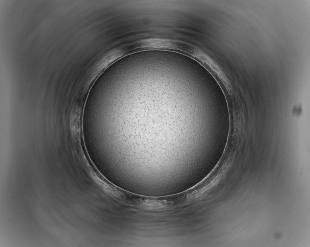 X0000100351049200806130947