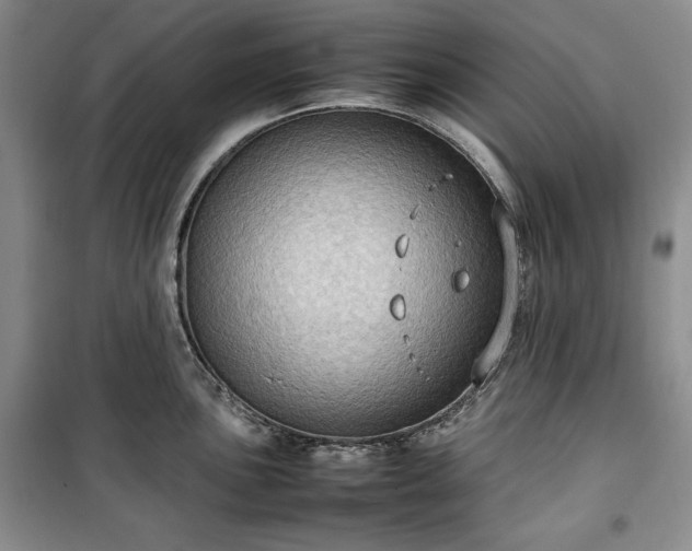 X0000100351051200806130948