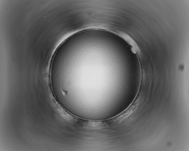 X0000100351052200806130948