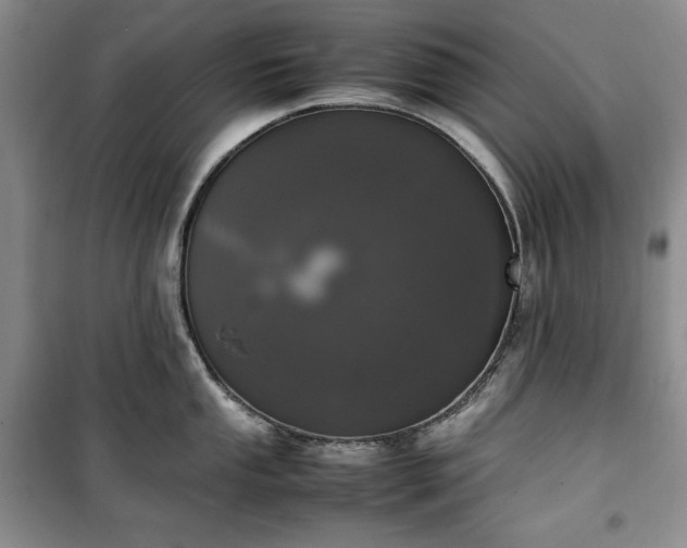 X0000100351053200806130948