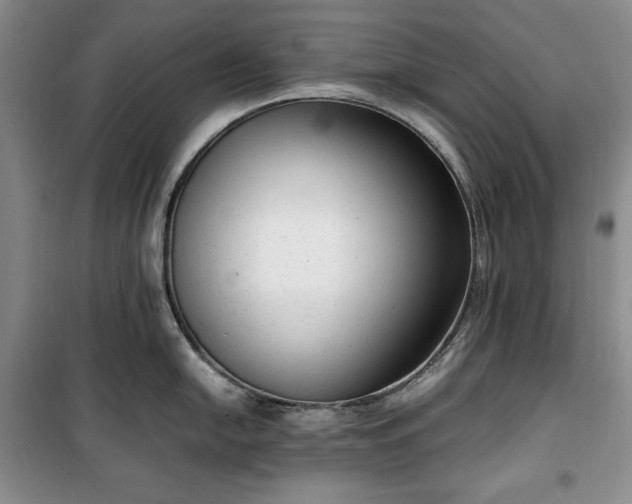 X0000100351054200806130948
