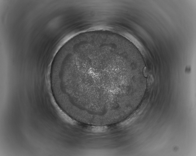 X0000100351055200806130948