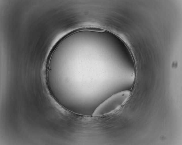 X0000100351056200806130948
