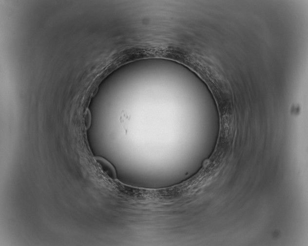 X0000100351057200806130947