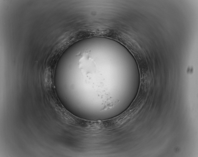 X0000100351058200806130947