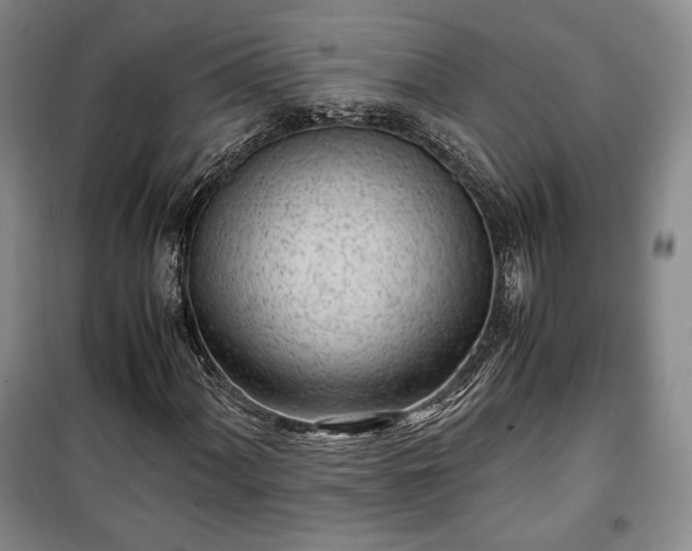 X0000100351060200806130947