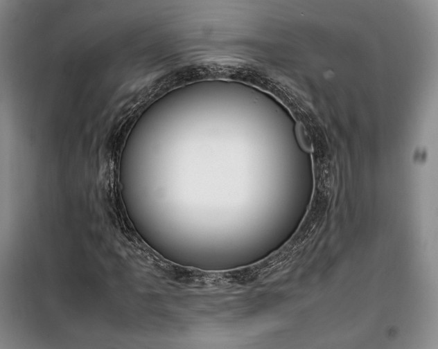 X0000100351061200806130947