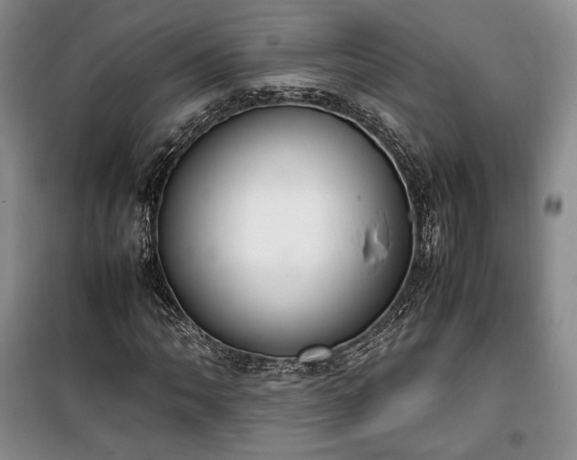 X0000100351062200806130947