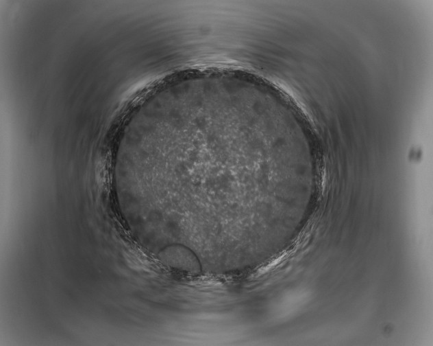 X0000100351063200806130947
