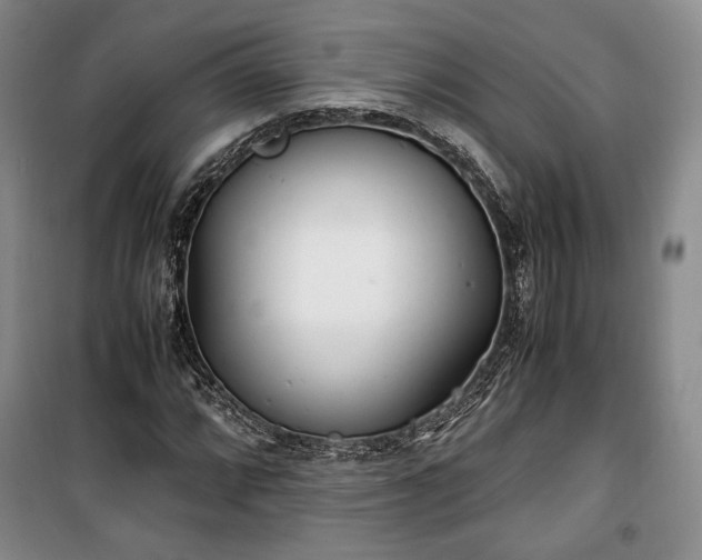 X0000100351064200806130947
