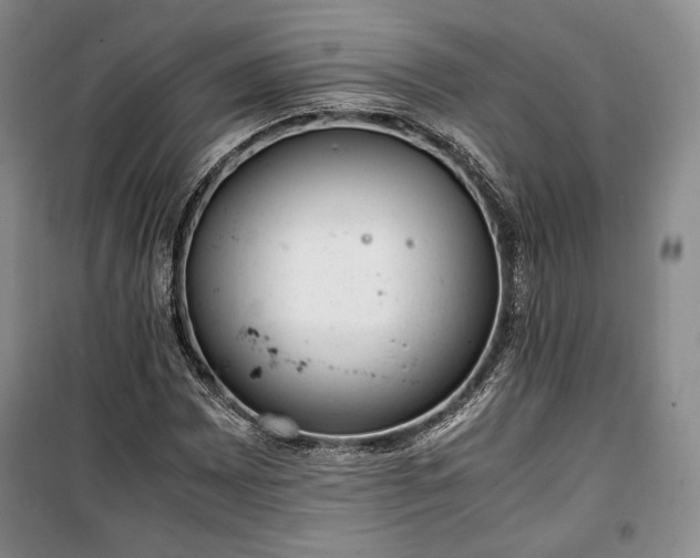 X0000100351065200806130947