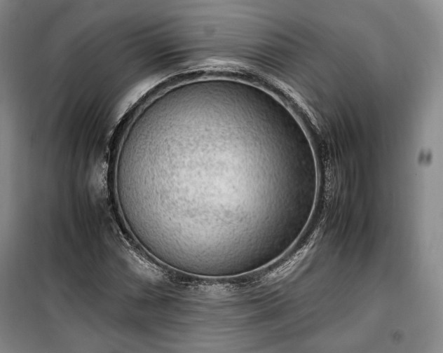 X0000100351066200806130947