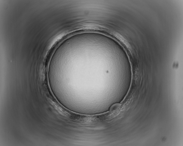 X0000100351067200806130947