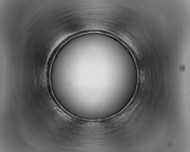 X0000100351068200806130947