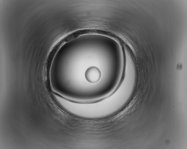 X0000100351069200806130947