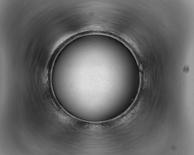 X0000100351070200806130947