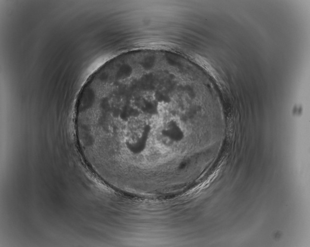 X0000100351071200806130947
