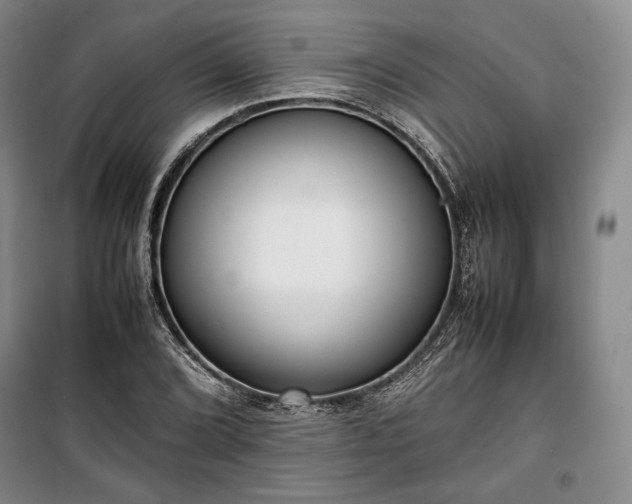 X0000100351072200806130947