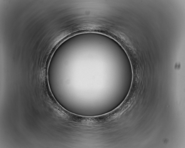 X0000100351073200806130947
