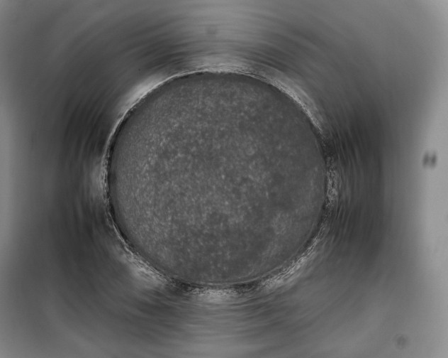 X0000100351074200806130947