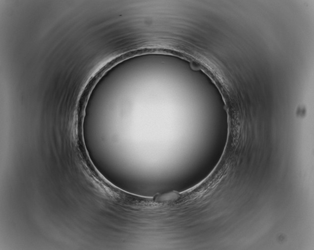 X0000100351076200806130947