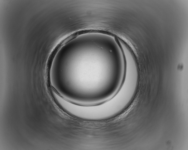 X0000100351077200806130947