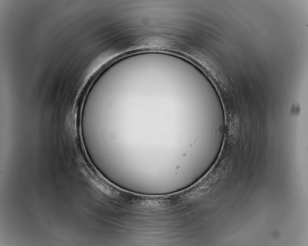 X0000100351078200806130947