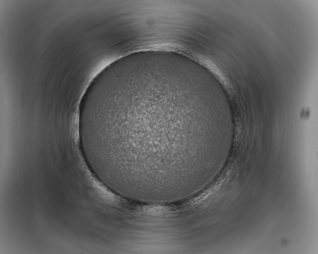 X0000100351079200806130947