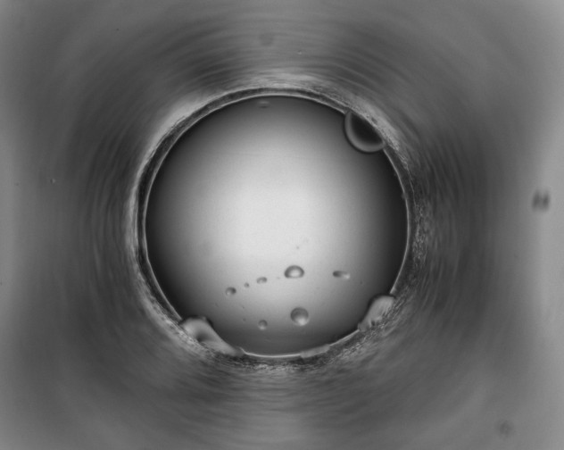X0000100351080200806130947