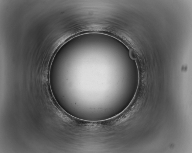 X0000100351081200806130947