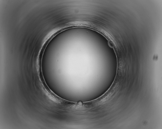 X0000100351082200806130947