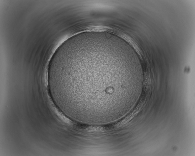 X0000100351083200806130947