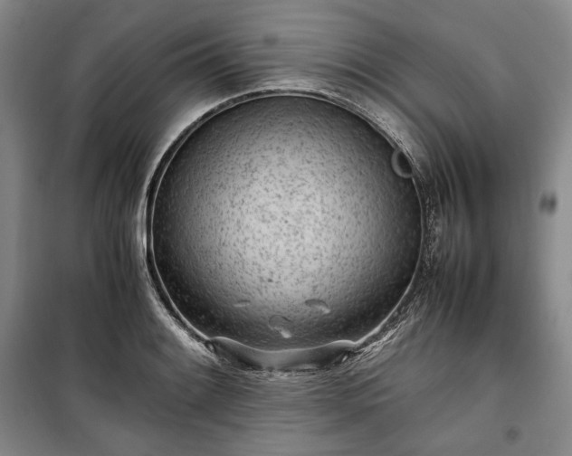 X0000100351084200806130947