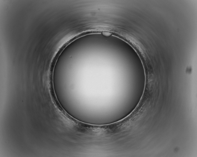 X0000100351085200806130947