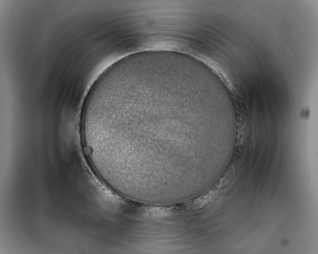 X0000100351086200806130947
