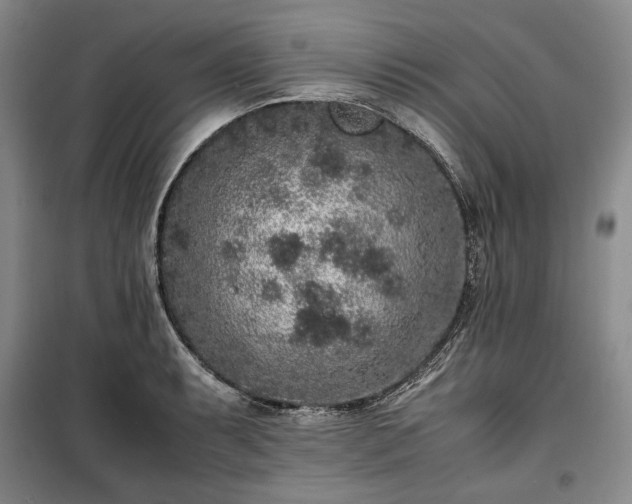 X0000100351087200806130947