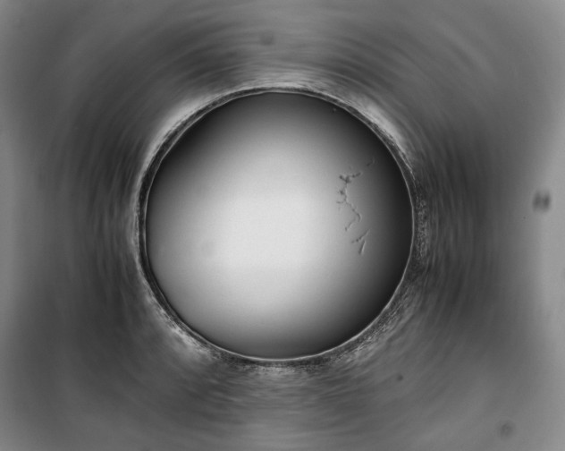 X0000100351088200806130947