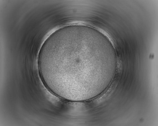 X0000100351090200806130946