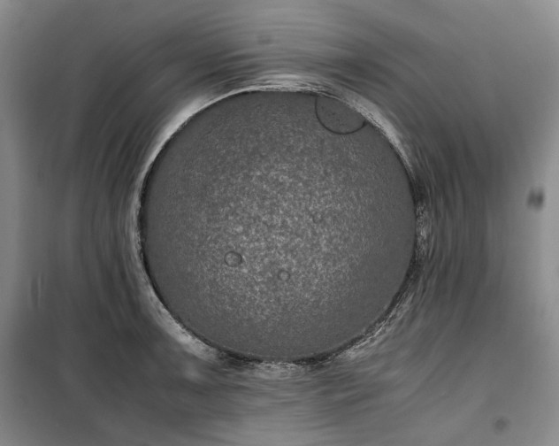 X0000100351091200806130946