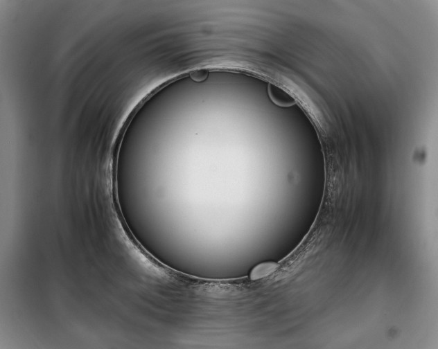 X0000100351092200806130946