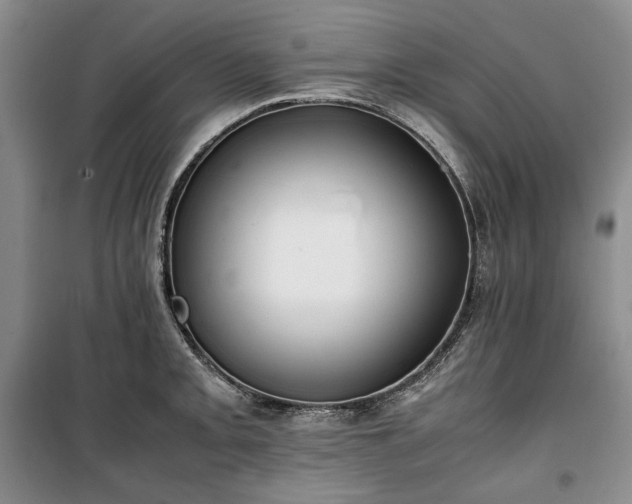 X0000100351093200806130946