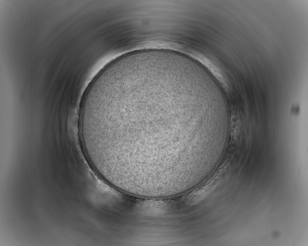 X0000100351094200806130946