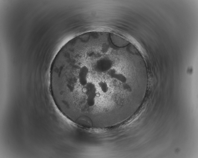 X0000100351095200806130946